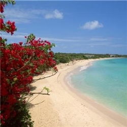 weather lets travelers book caribbean trips at great rates